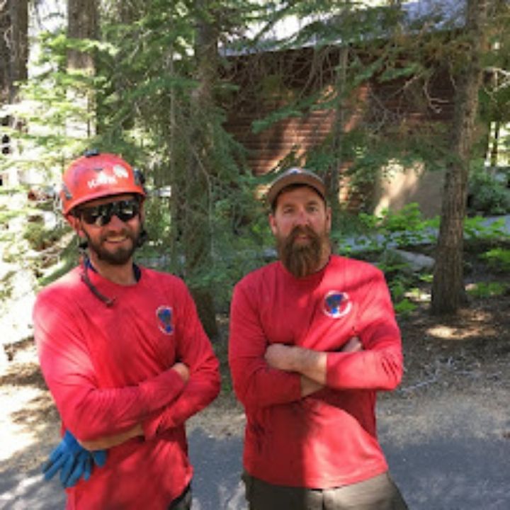 Jeremiah's Tree Service
