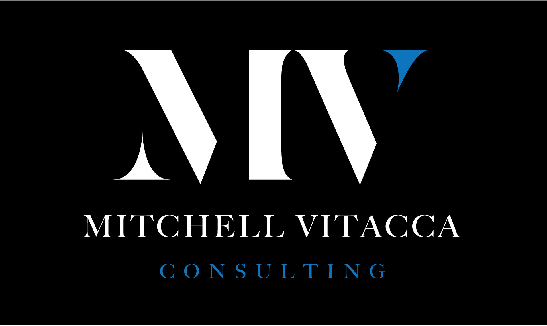 Mitchell Vitacca Consulting